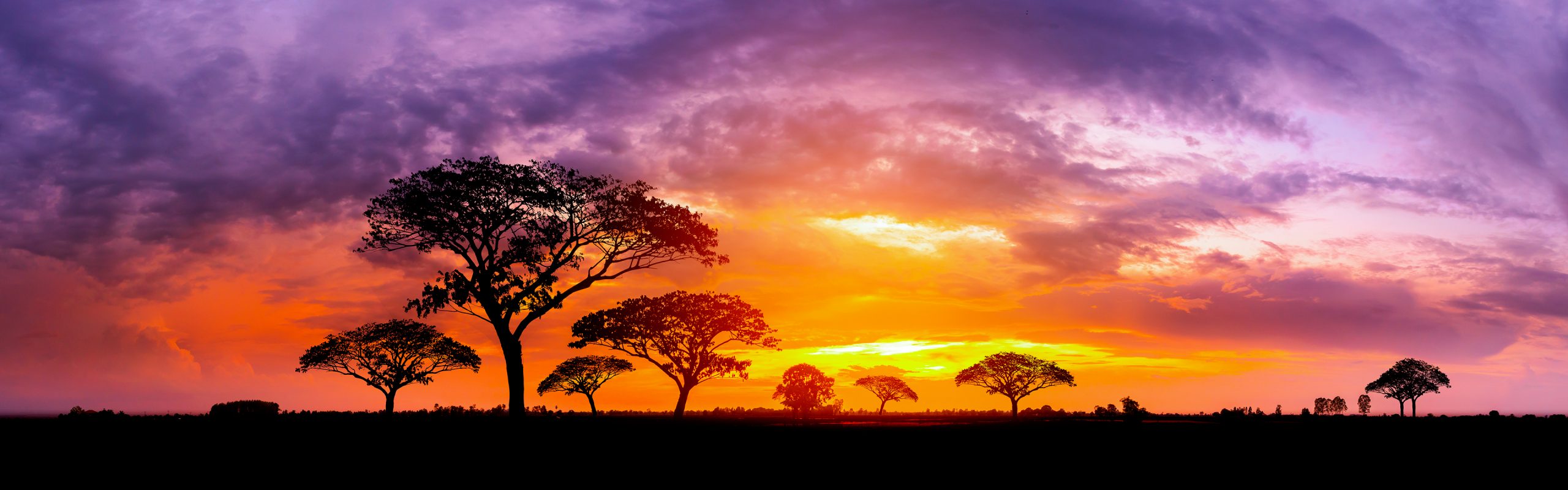 Africa - Navsumo - Free Travel Planning - Photo Credit - Shutterstock - 2