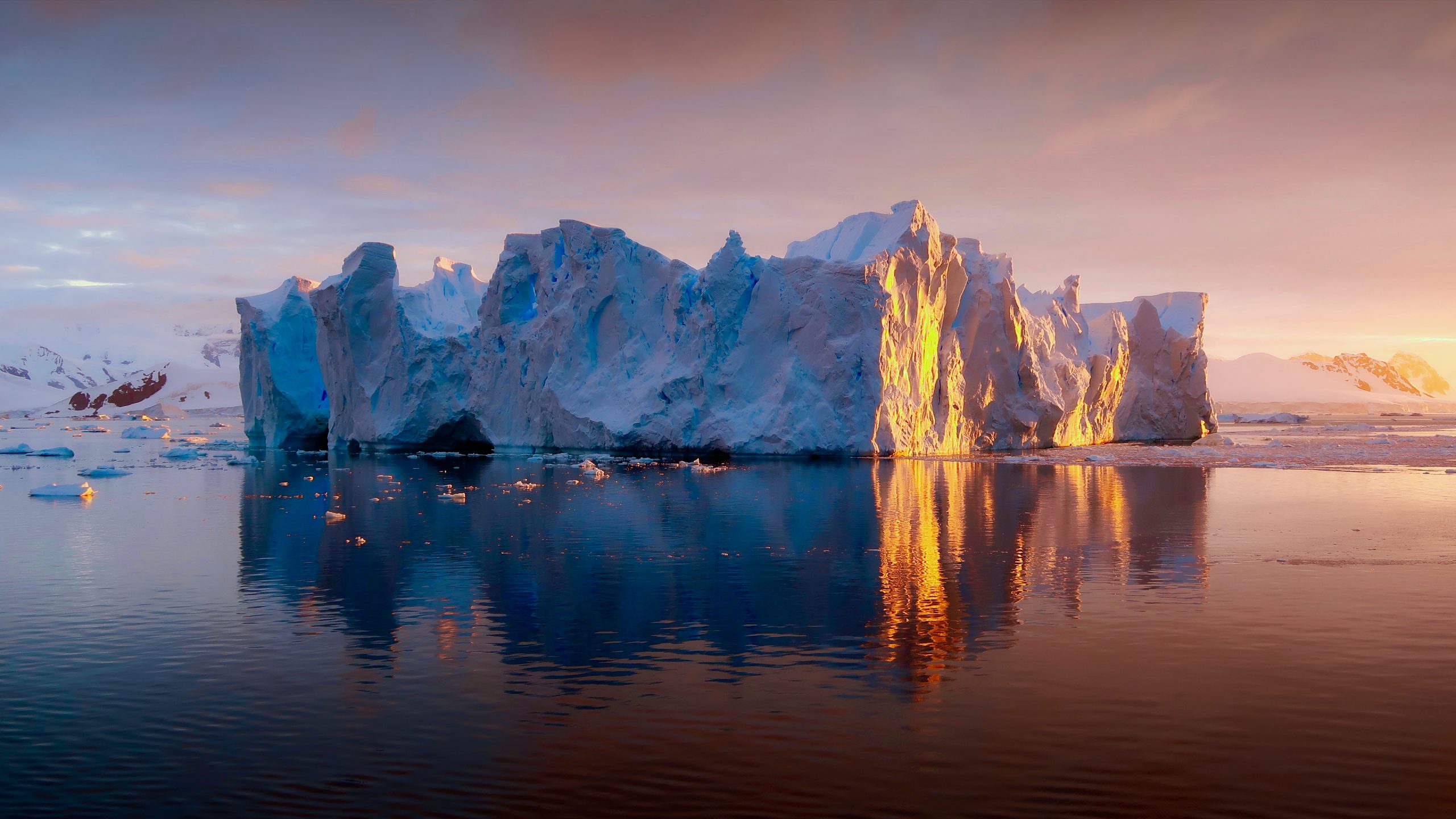 Antarctica Navsumo Free Travel Planning Photo Credit Shutterstock 1 scaled