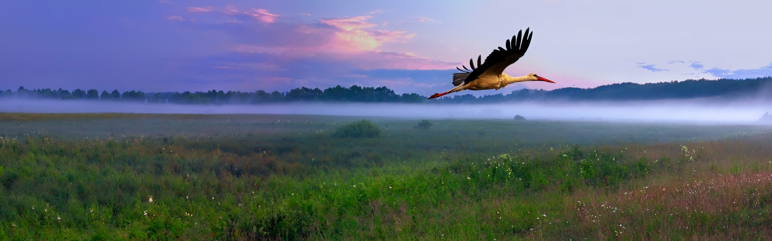 Belarus - Navsumo - Free Travel Planning - Photo Credit - Shutterstock - 2