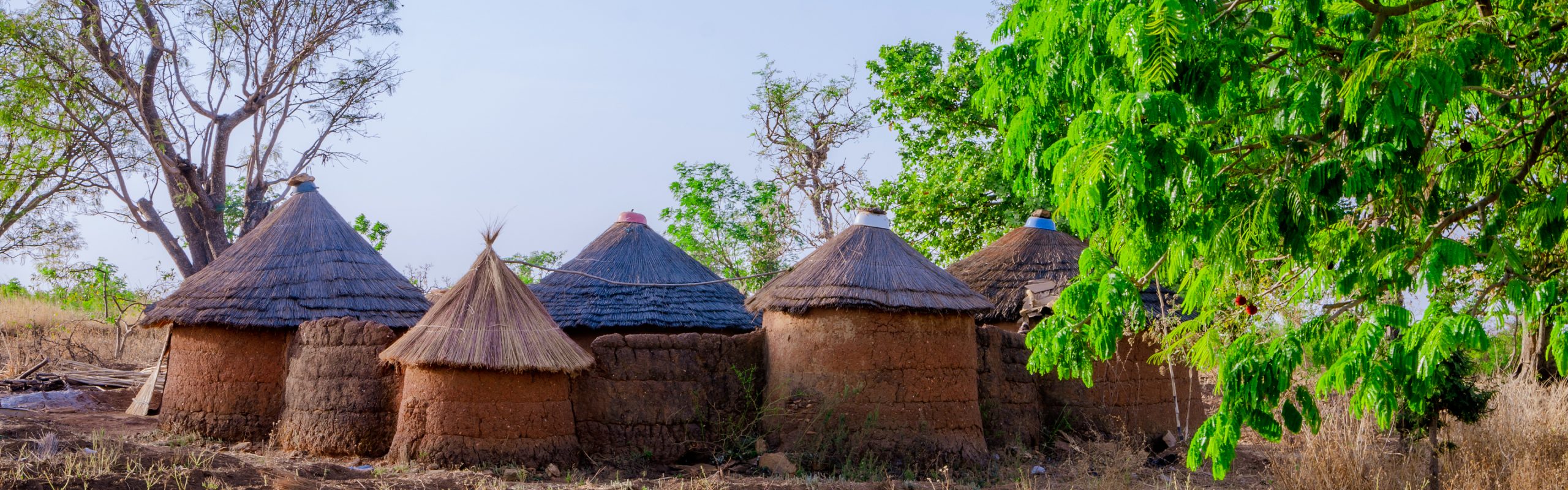 Benin - Navsumo - Free Travel Planning - Photo Credit - Shutterstock - 2