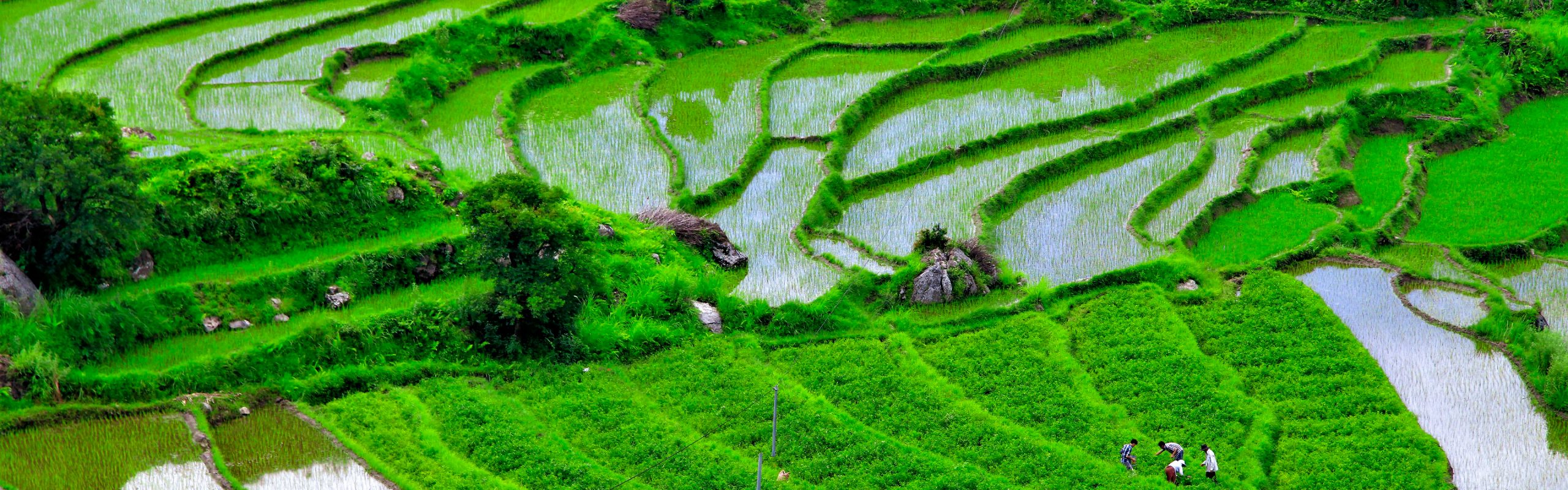 Bhutan - Navsumo - Free Travel Planning - Photo Credit - Shutterstock - 2
