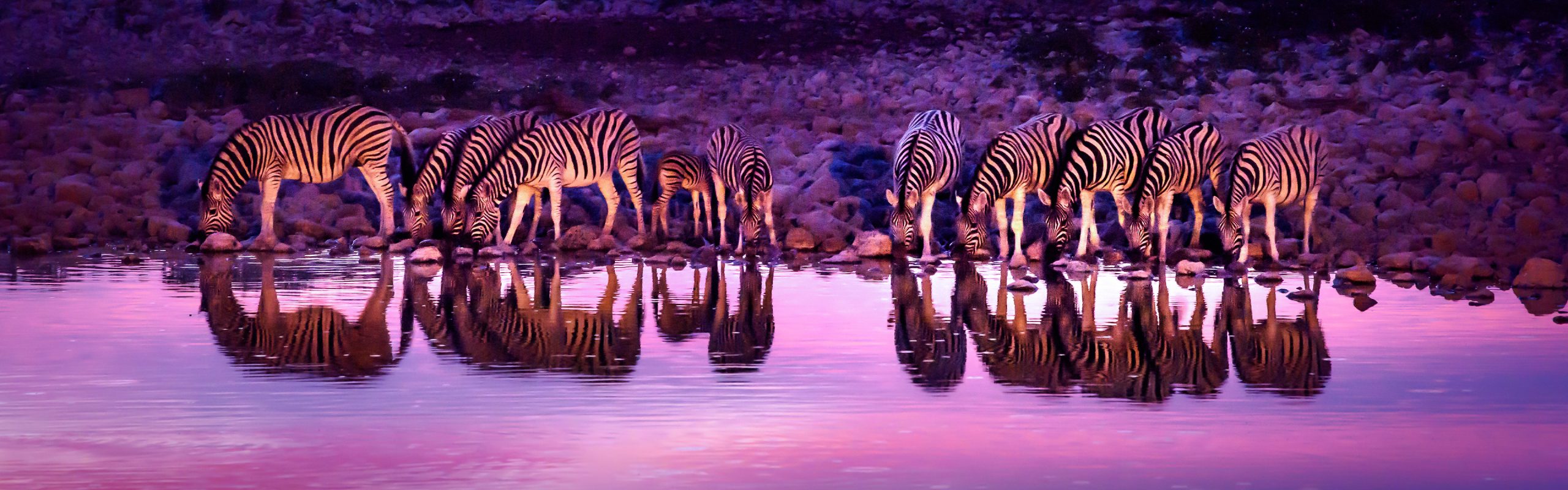 Botswana - Navsumo - Free Travel Planning - Photo Credit - Shutterstock - 2
