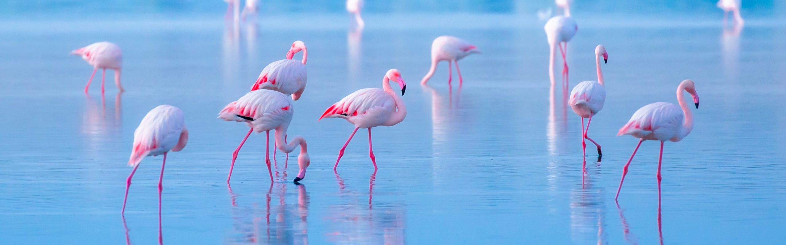 Cyprus - Navsumo - Free Travel Planning - Photo Credit - Shutterstock - 2