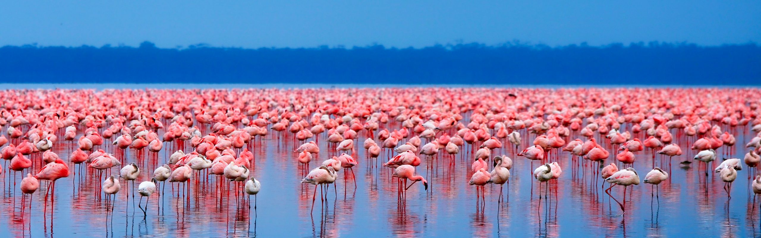 Eastern Africa - Navsumo - Free Travel Planning - Photo Credit - Shutterstock - 2