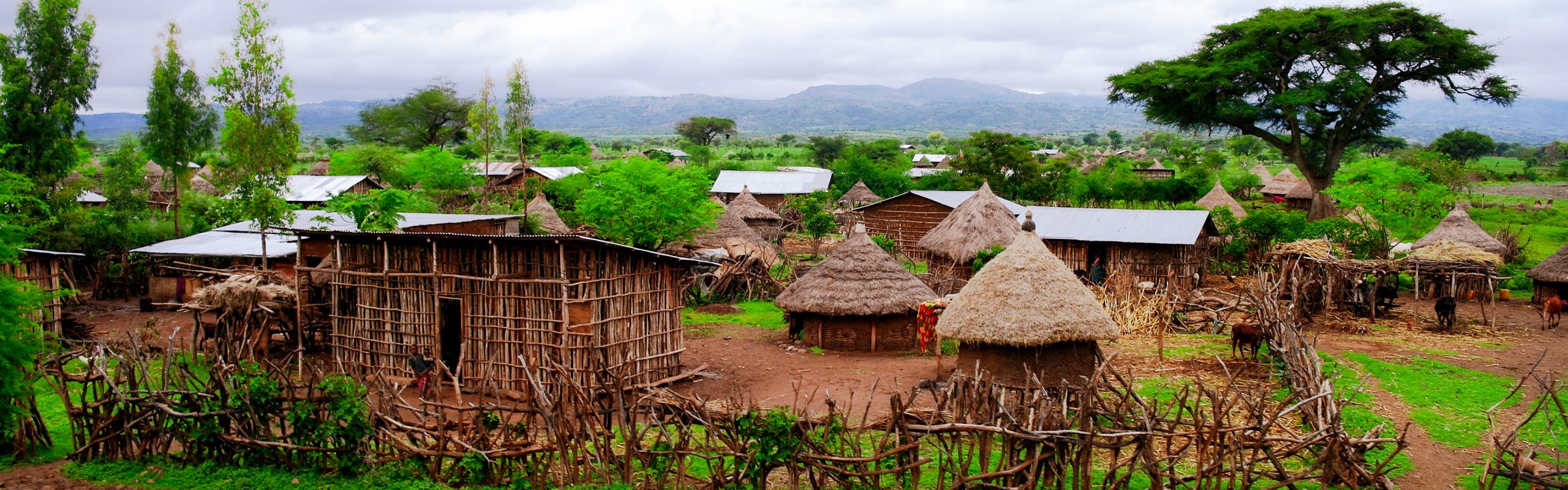 Ethiopia - Navsumo - Free Travel Planning - Photo Credit - Shutterstock - 2