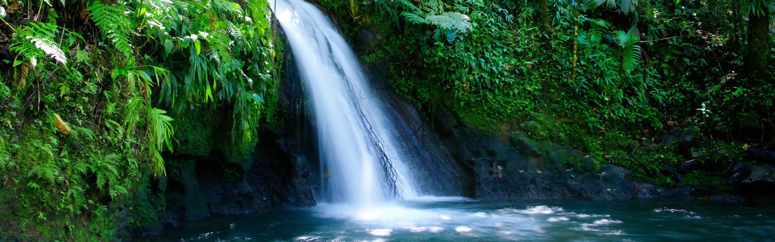 Guadeloupe - Navsumo - Free Travel Planning - Photo Credit - Shutterstock - 2