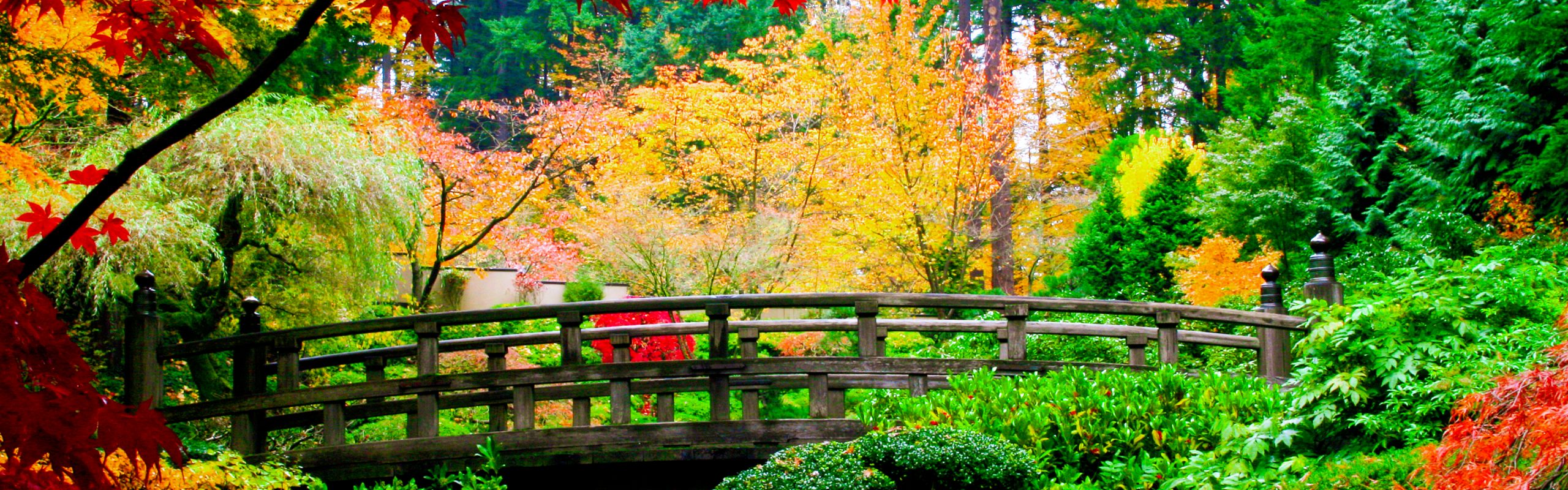 Japan - Navsumo - Free Travel Planning - Photo Credit - Shutterstock - 2