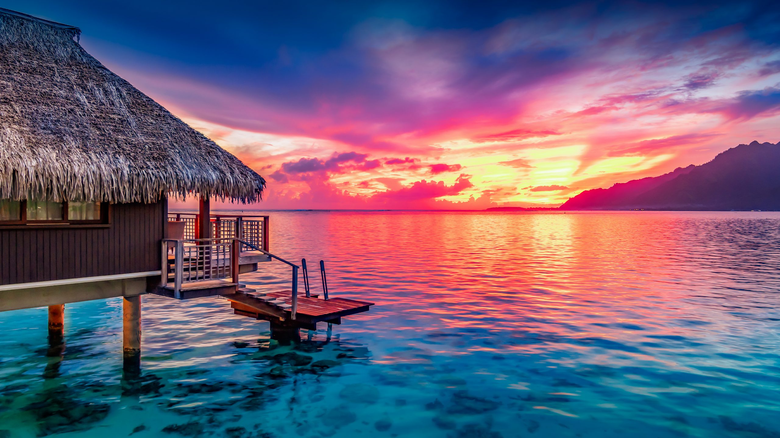 Pacific Navsumo Free Travel Planning Photo Credit Shutterstock 1 scaled