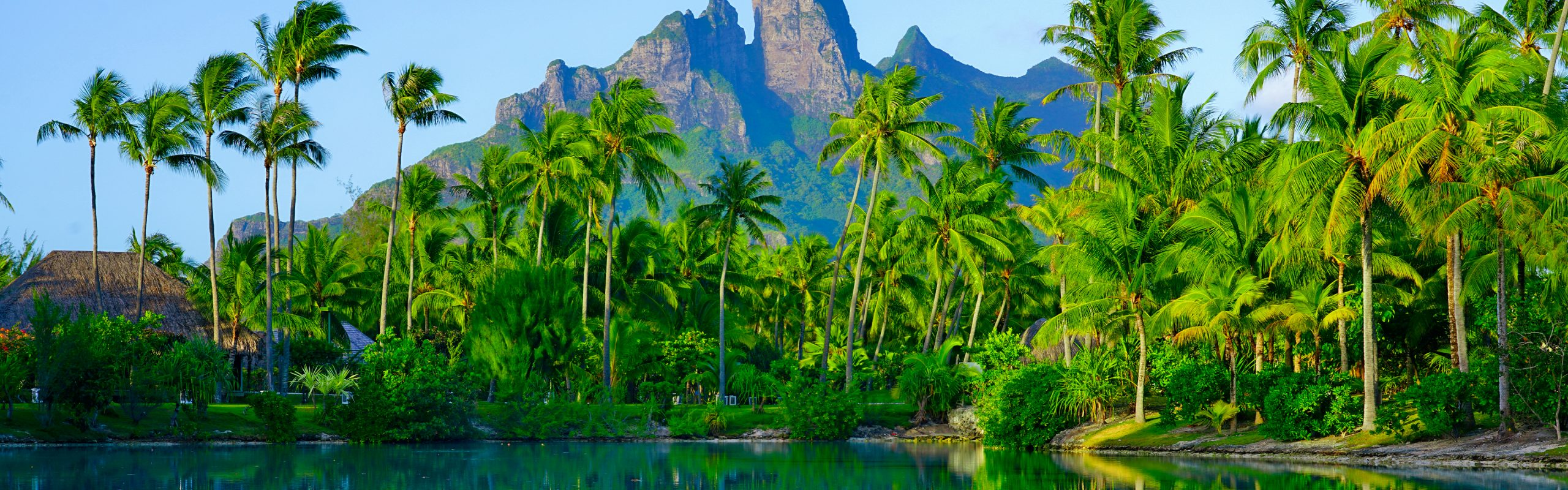Polynesia - Navsumo - Free Travel Planning - Photo Credit - Shutterstock - 2