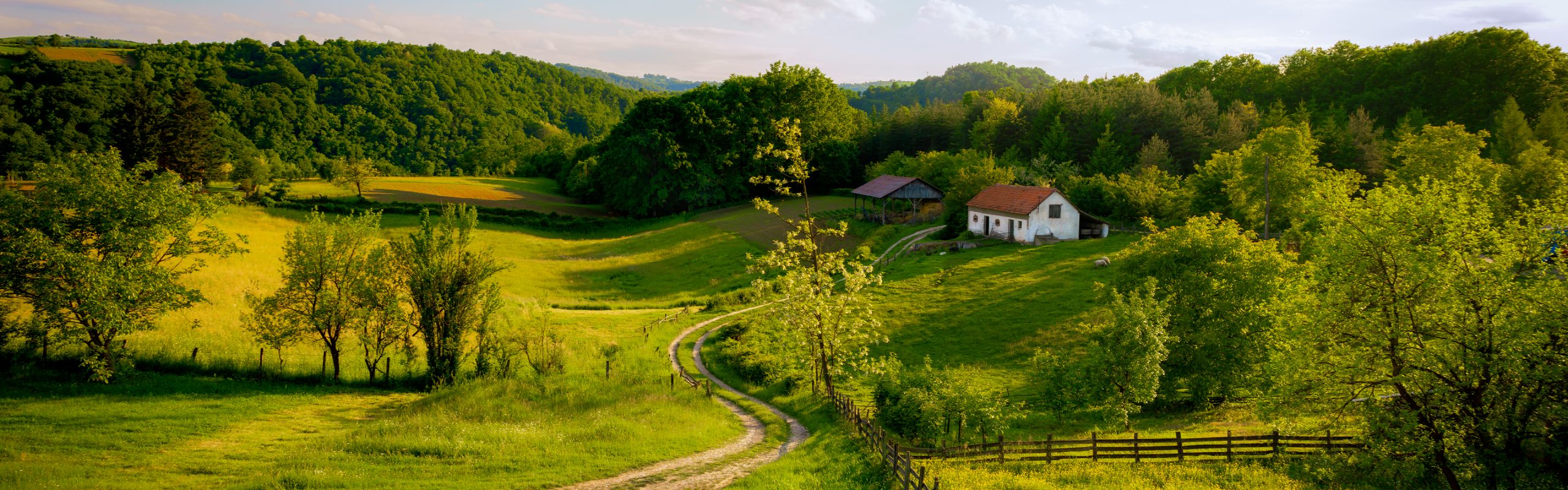Serbia - Navsumo - Free Travel Planning - Photo Credit - Shutterstock - 2