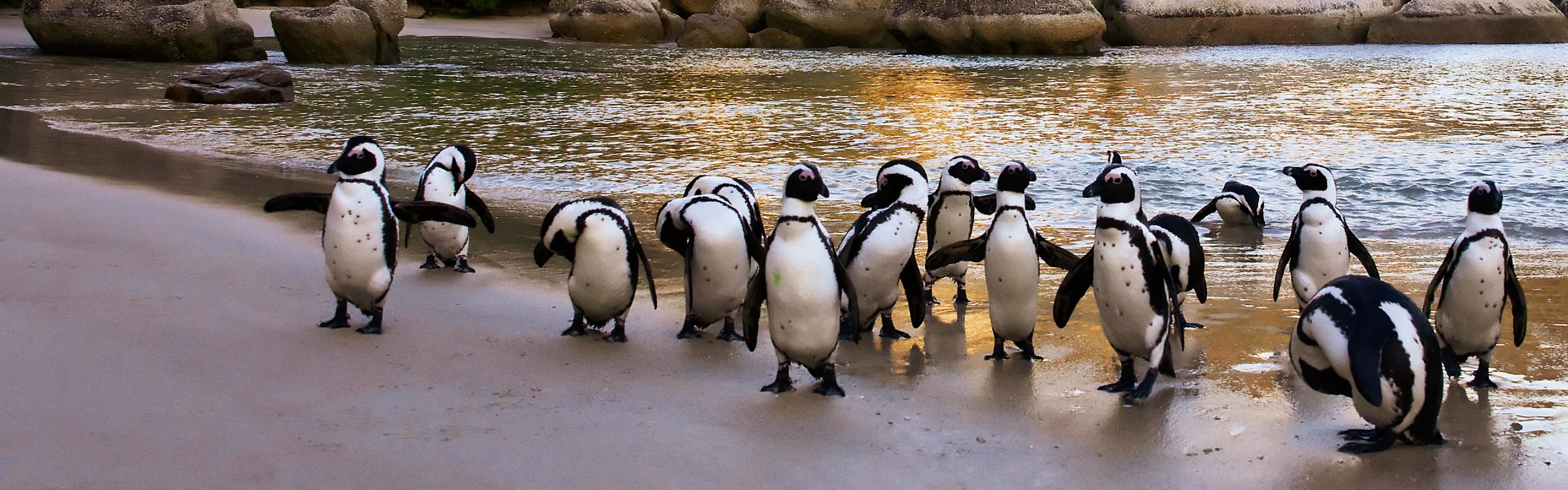 South Africa - Navsumo - Free Travel Planning - Photo Credit - Shutterstock - 2