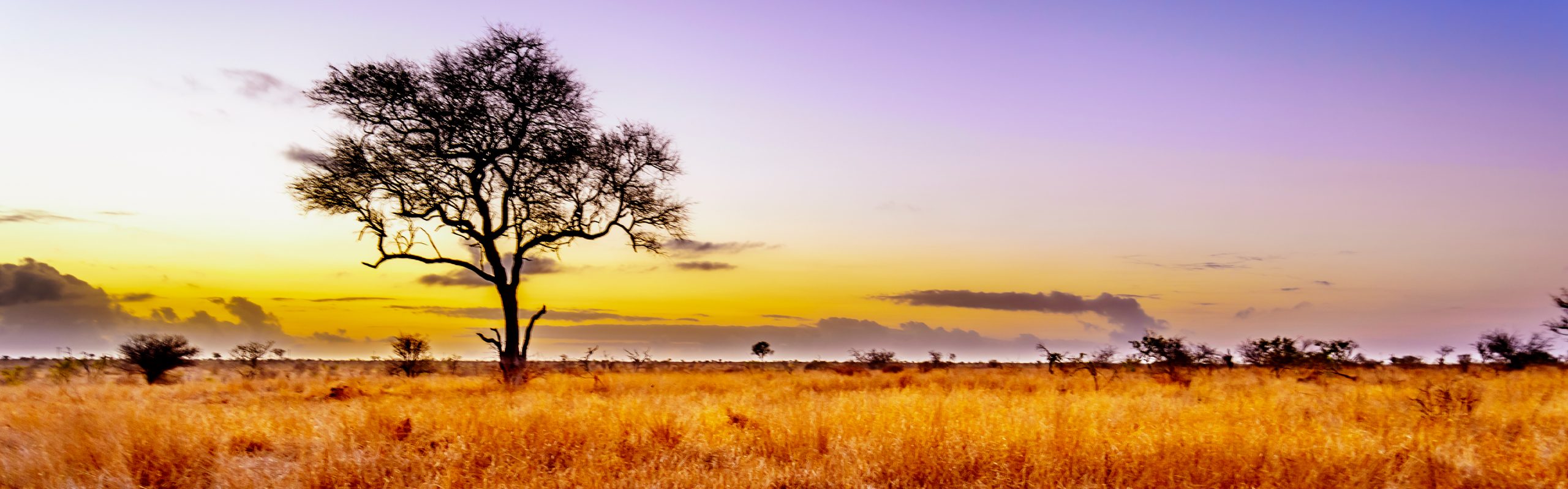 Southern Africa - Navsumo - Free Travel Planning - Photo Credit - Shutterstock - 2
