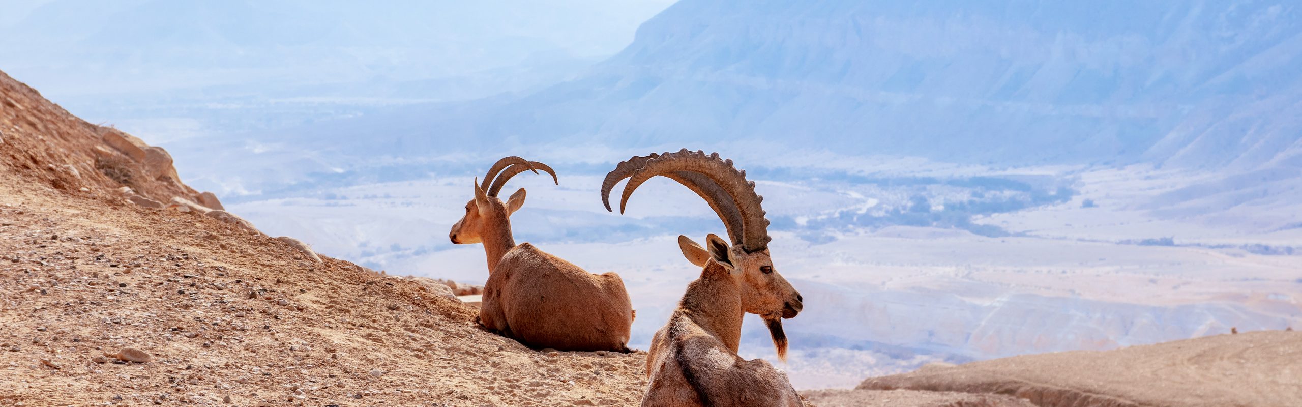 Sudan - Navsumo - Free Travel Planning - Photo Credit - Shutterstock - 2