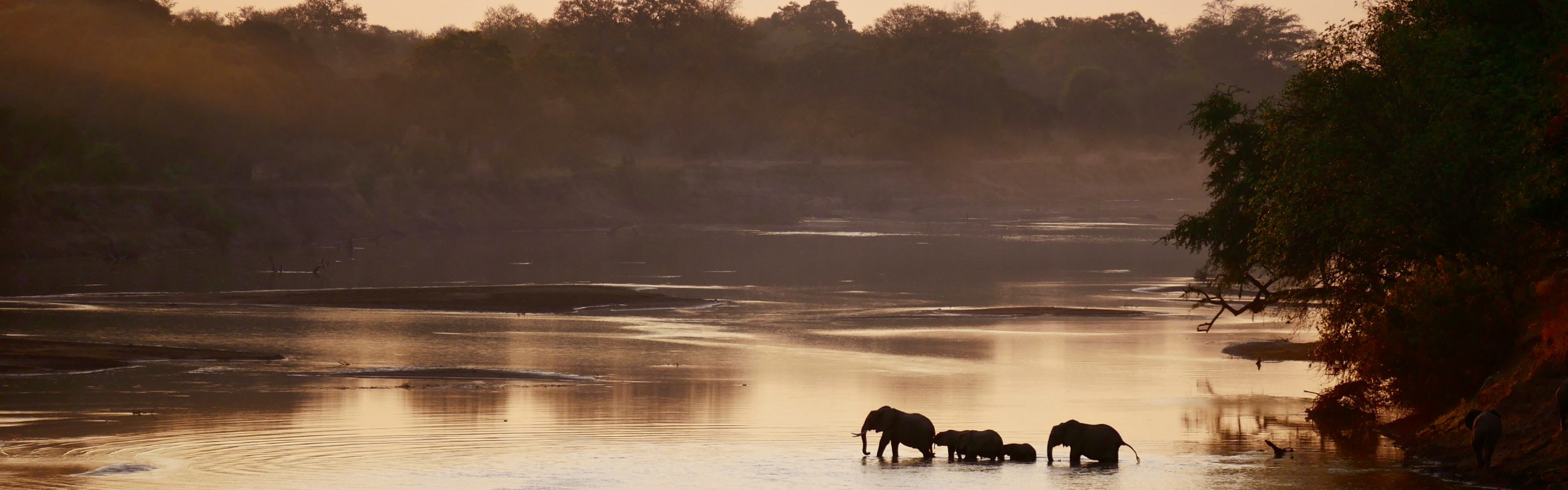 Zambia - Navsumo - Free Travel Planning - Photo Credit - Shutterstock - 2