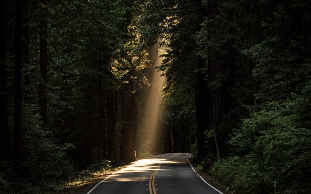 The 10 Best Road Trips in the U.S. to Get You Out of the House (COVID Edition)