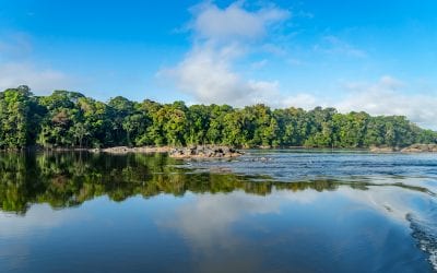 Top 11 Sights to See in Guyana