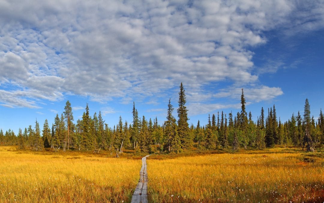 Top Hiking Trails in Lapland, Finland