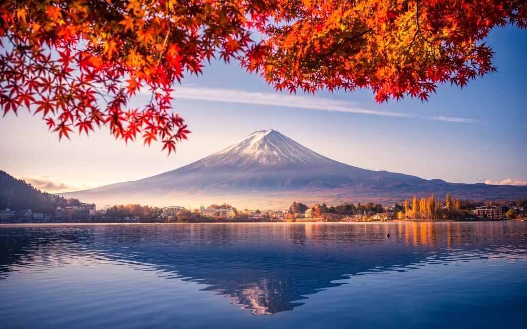 New Ideas for Your Trip to Japan