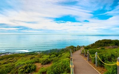 Top Things to Do in San Diego for Cheap (or Free)