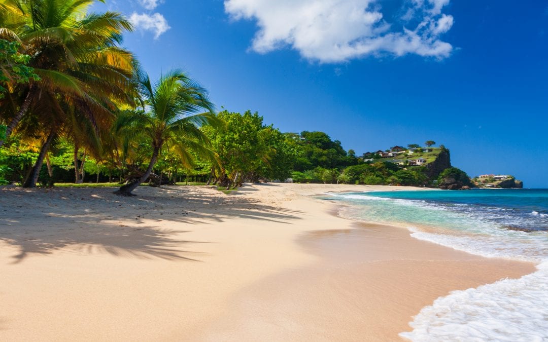 Grand Anse Beach and Beyond in Grenada