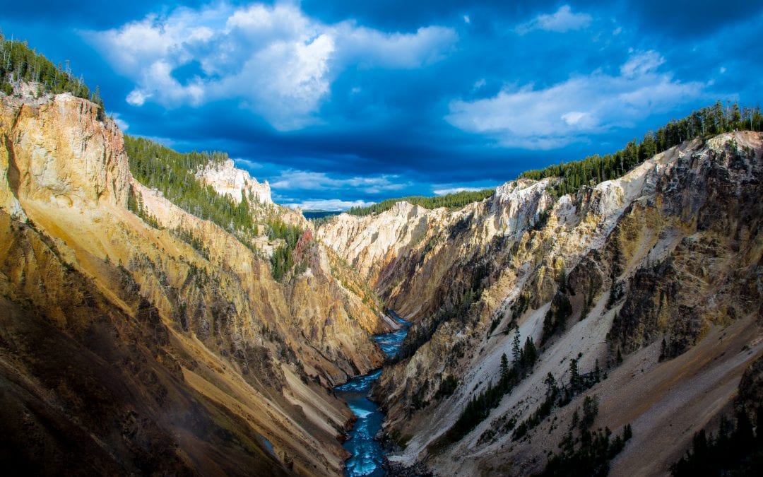 Yellowstone National Park Travel Guide