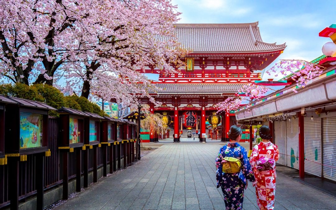 The Ultimate Guide to the Best Day in Tokyo