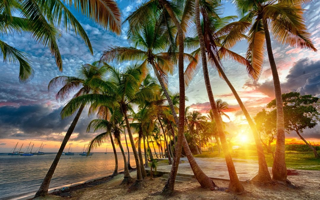 Best Beaches in Guadeloupe