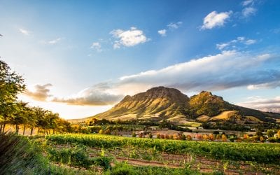A Road Trip Through South Africa