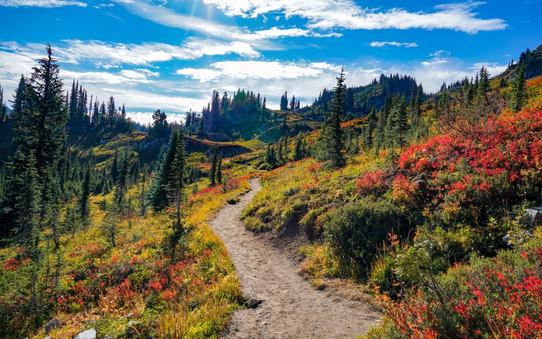 Mount Fremont Lookout Trail