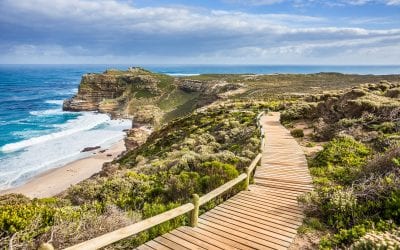 How to Visit the Cape of Good Hope in South Africa