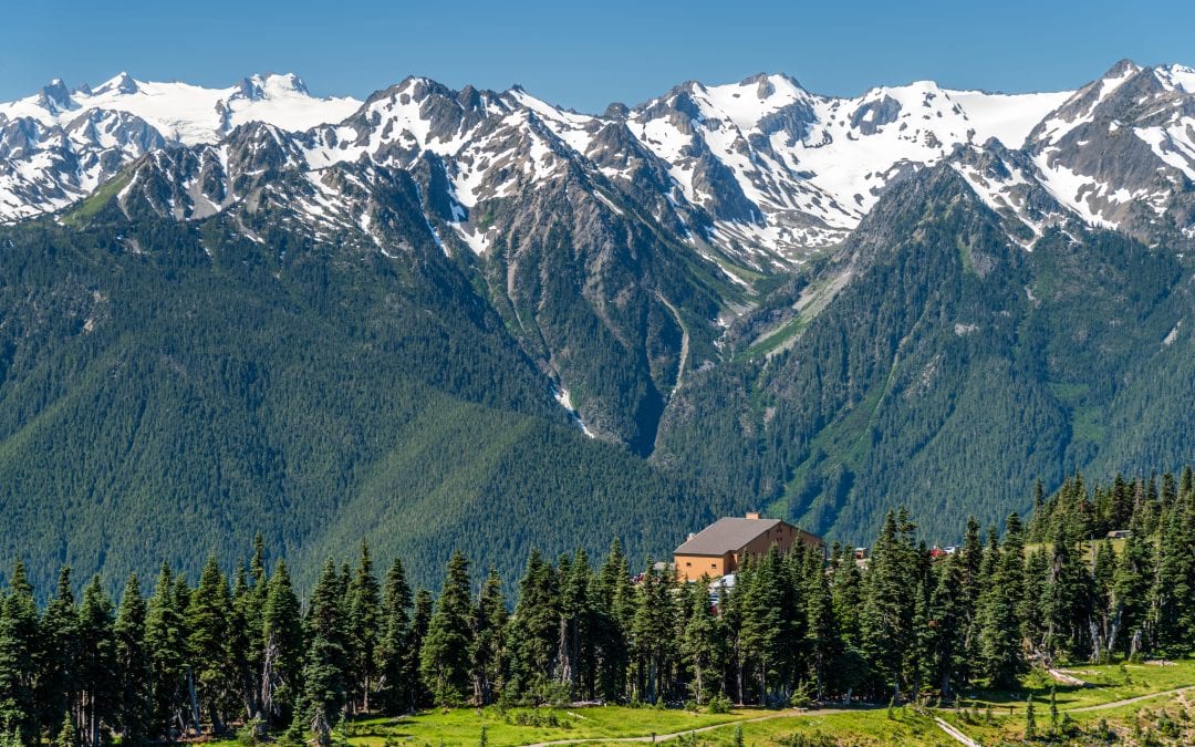 Best Things to Do in Olympic National Park