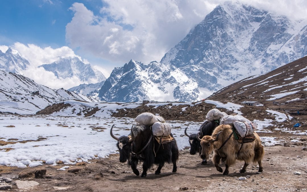Trekking to Everest Base Camp in Nepal