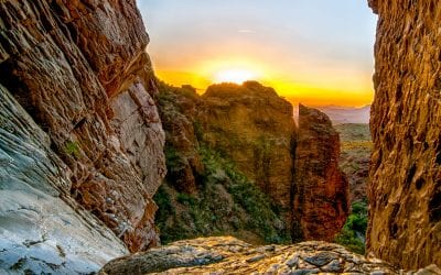 Emory Peak, Big Bend National Park