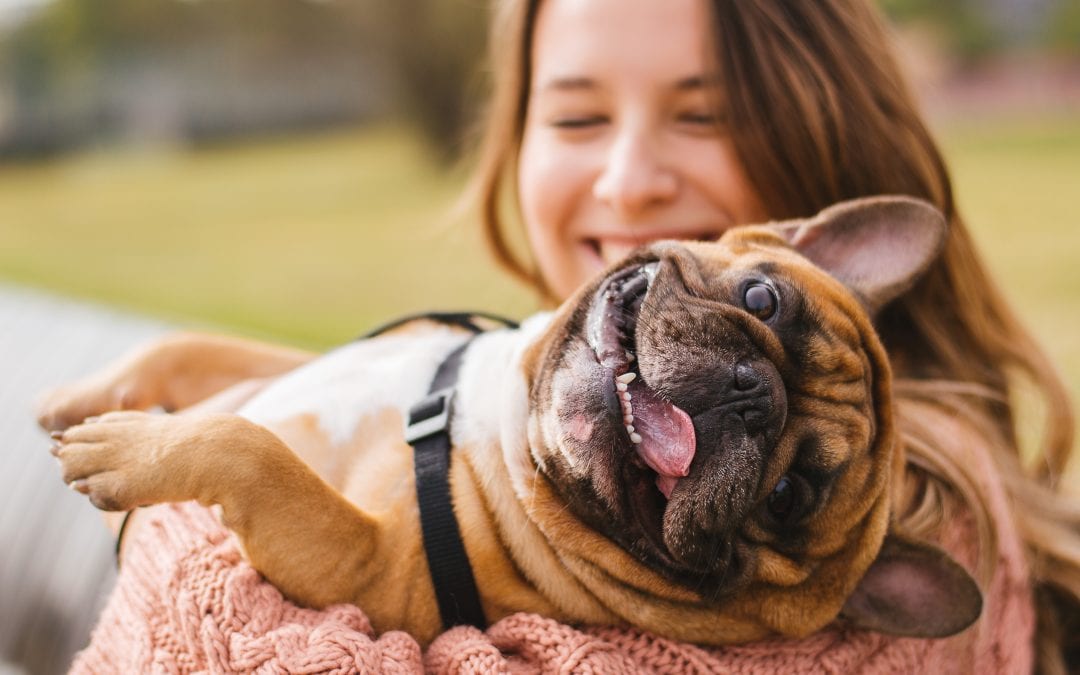 Have Pet, Will Travel! What the Five Largest Hotel Chains in the U.S. Can Offer