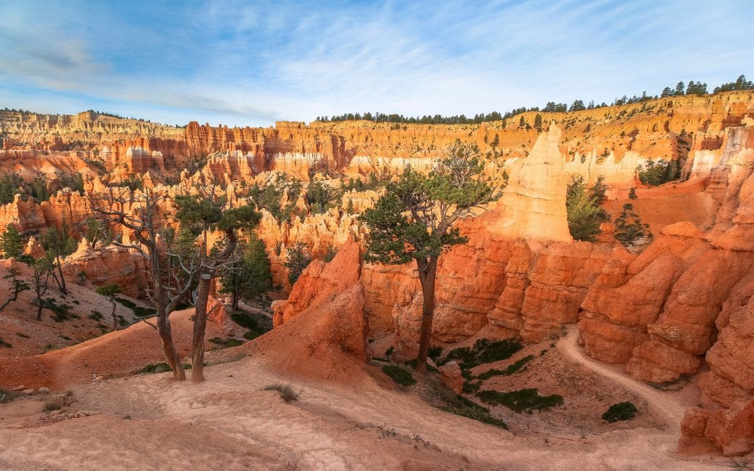 Hiking Bryce Canyon: Queens Garden and Navajo Loop Trails