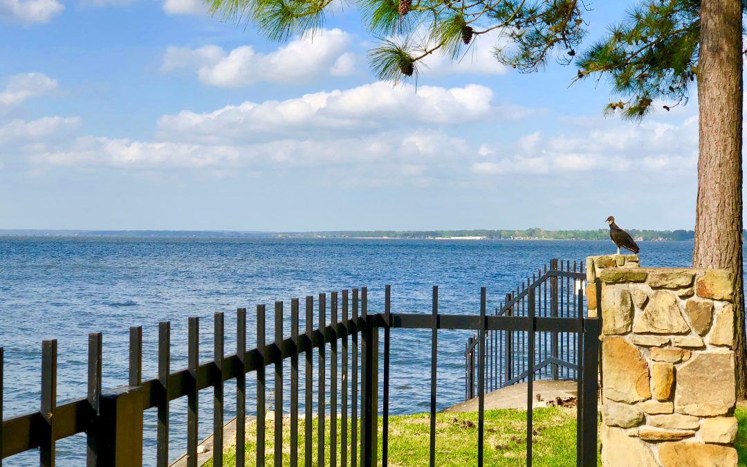 Best Day Trips from Houston