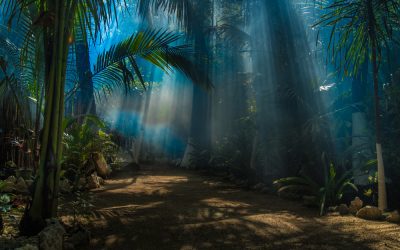 Ultimate Guide to Tulum