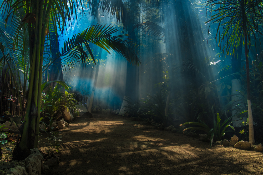 Ultimate Guide to Tulum