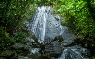 Puerto Rico Hikes and Waterfalls