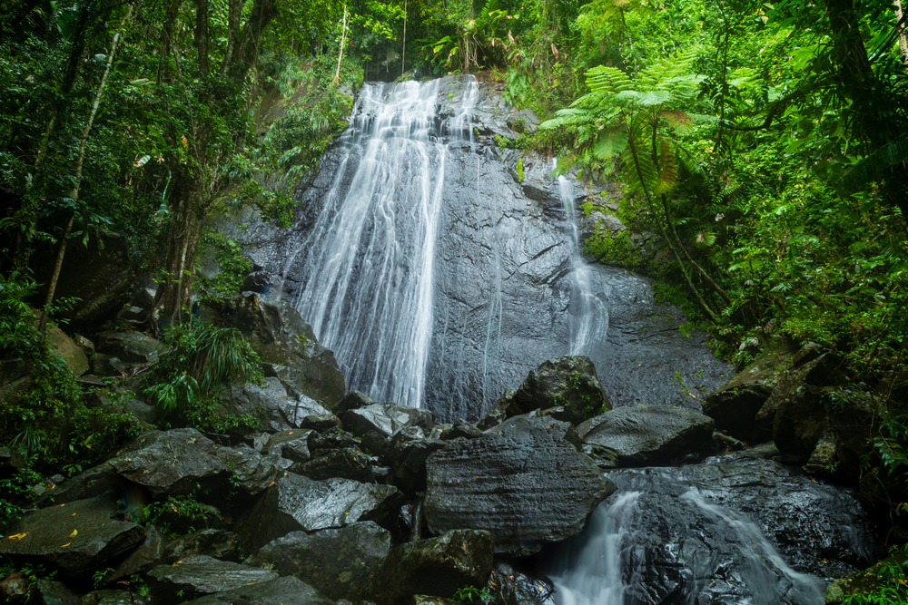 Puerto Rico Hikes and Waterfalls