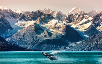 Best Ways to Visit Alaska This Summer