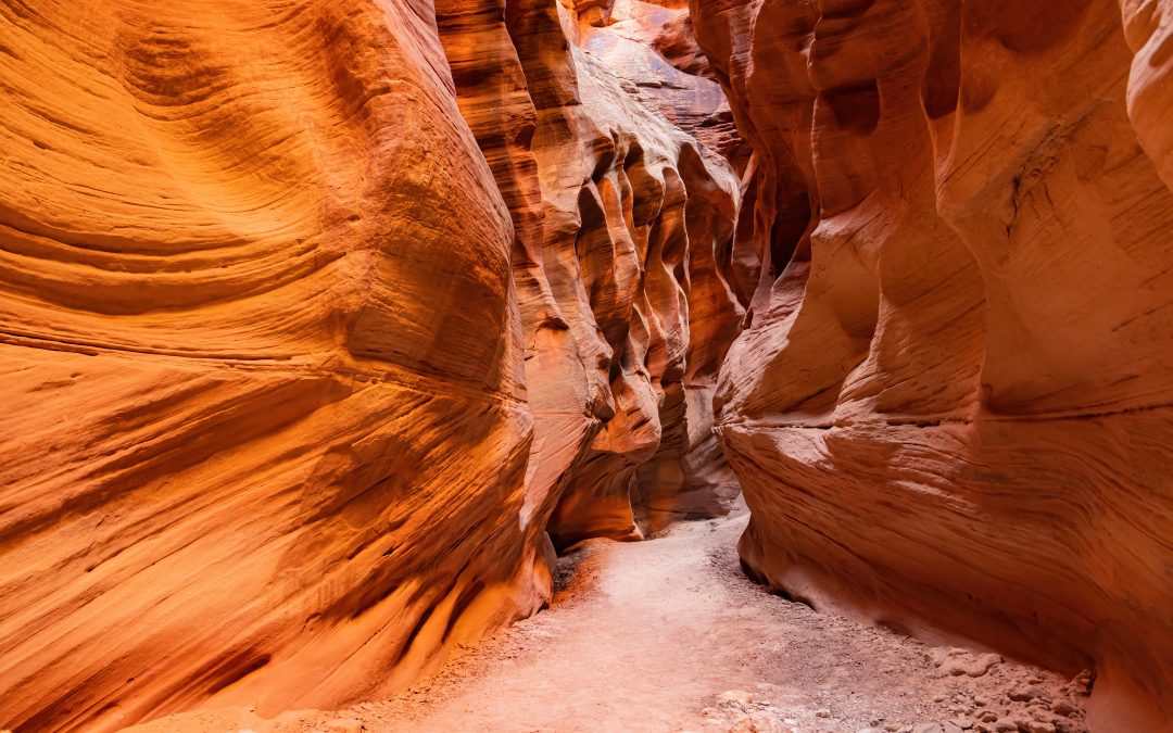 Highlight: Amangiri Canyon Point