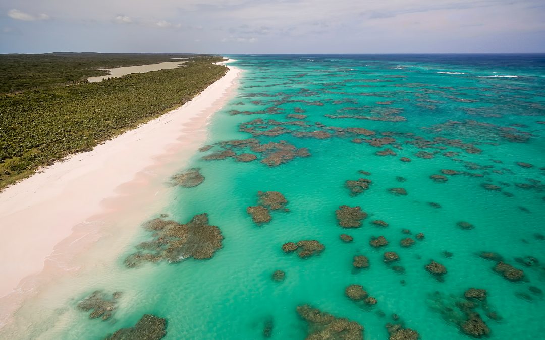 All You Need to Know Cat Island in the Bahamas