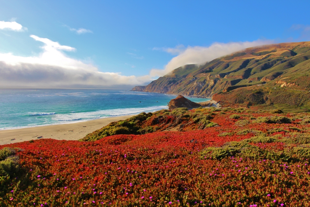 Highlight: Elk, California