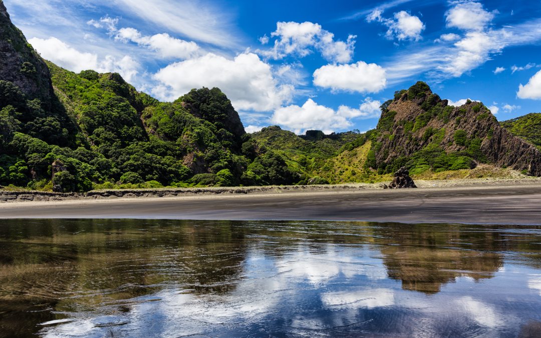 Best New Zealand Beaches