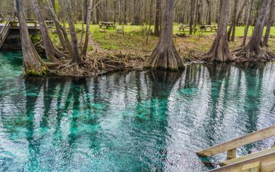 Wekiwa Springs State Park