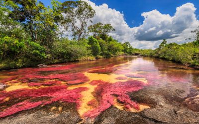 All About the Rainbow River, Colombia